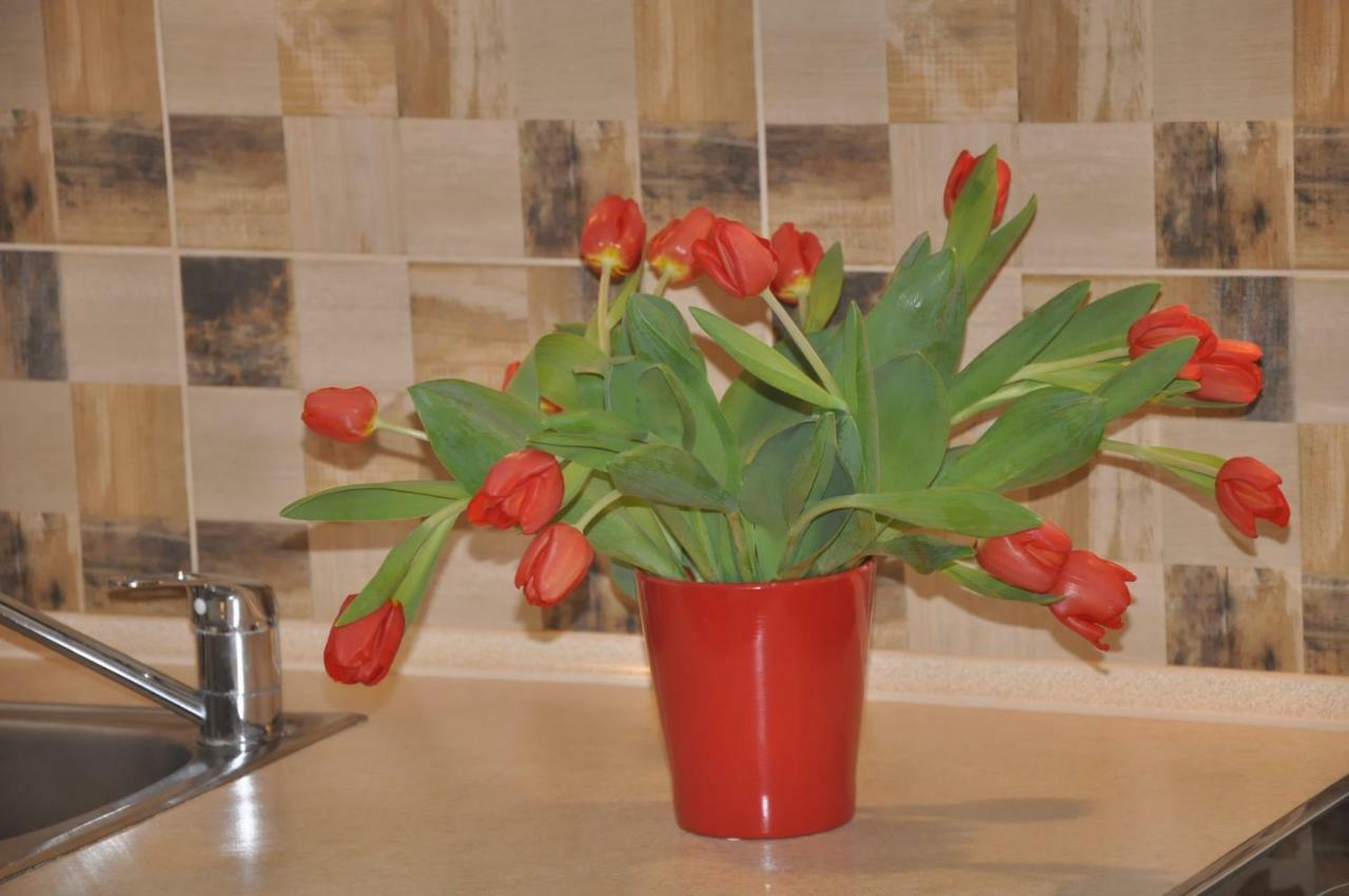 Apartamenty Levilla Rewa Buitenkant foto